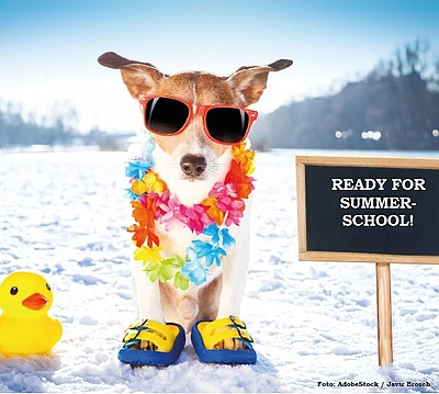 Hund mit Sonnenbrille und Blumenkette steht neben einer Bade-Ente und einem Schild mit der Aufschrift "Ready for summer-school!" im Schnee. ©AdobeStock/Javir Brosch