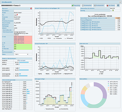 Screenshot des Dashboard Tools RAD: Detailansicht eines Unternehmens © Software Competence Center Hagenberg (SCCH)